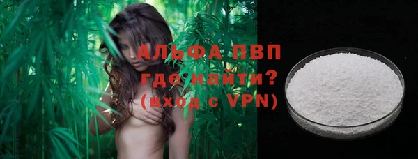 гашик Зеленокумск