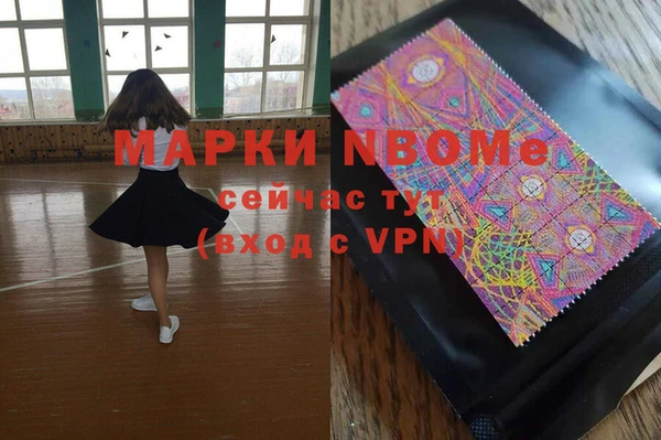гашик Зеленокумск
