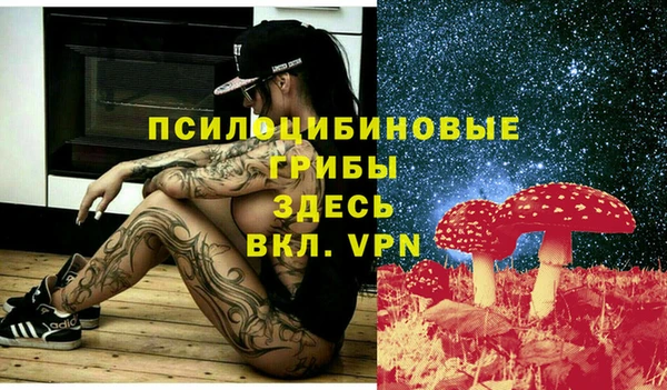 стафф Зеленодольск