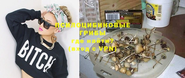 стафф Зеленодольск
