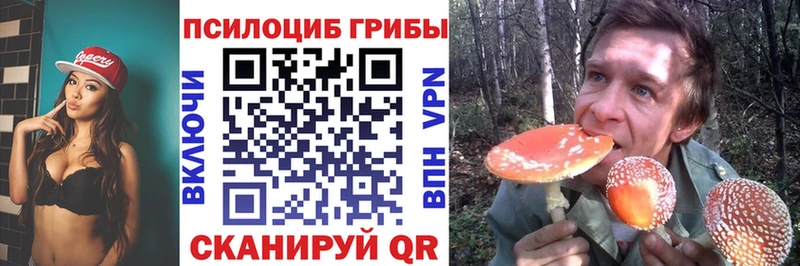 Псилоцибиновые грибы мухоморы  darknet состав  Сосногорск 